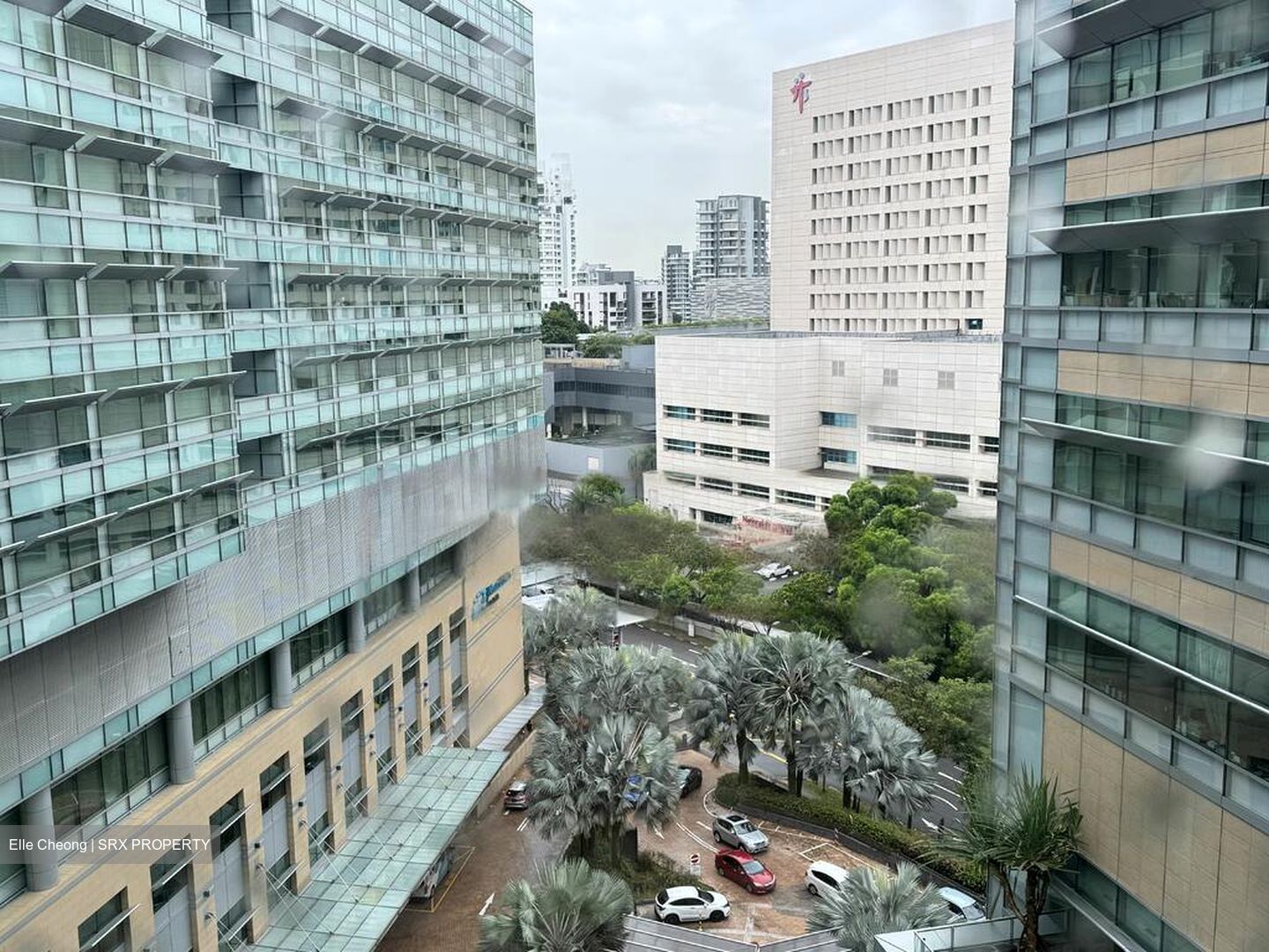 Mount Elizabeth Novena Hospital (D12), Retail #453956261